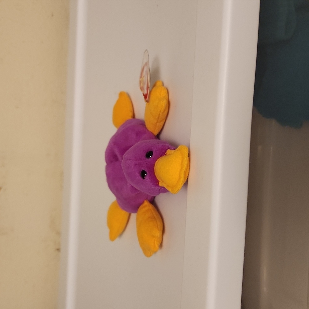 Patti the platypus